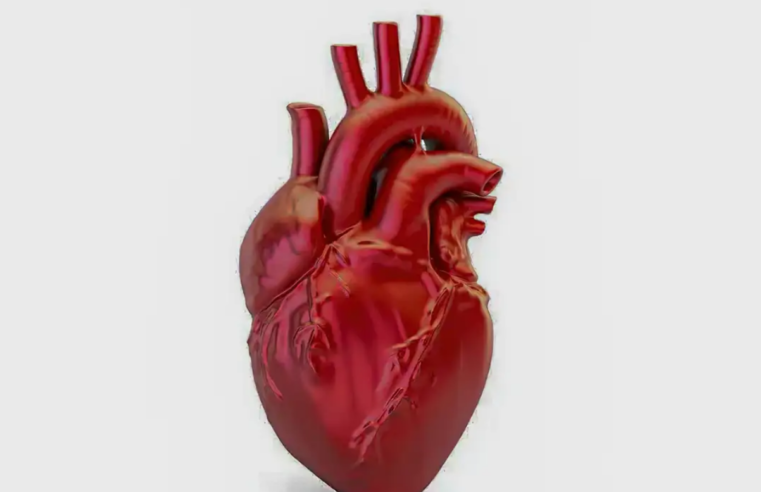 A cada 72 segundos, uma pessoa morre por doença cardiovascular no país